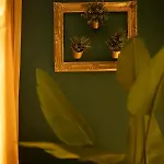 Jungle فروتسواف