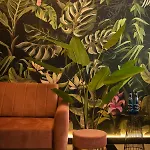 Jungle * فروتسواف