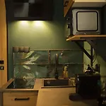 Jungle شقة *