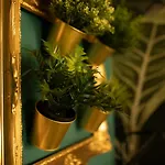 Apartmán Jungle