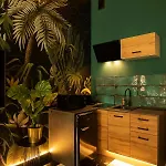 Jungle Lägenhet Wrocław