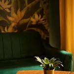 Jungle *