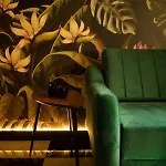 Jungle Wrocław