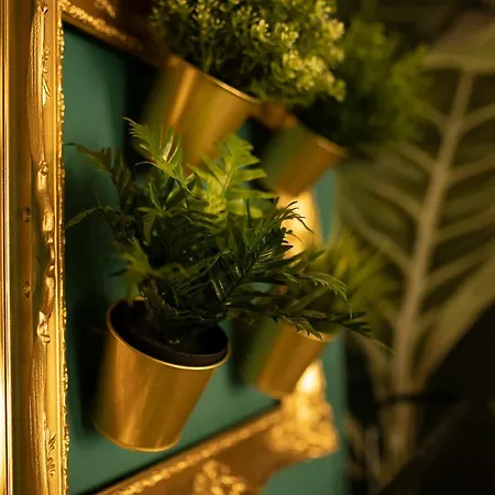 Apartment Jungle