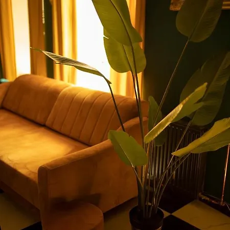 Jungle Apartmán *