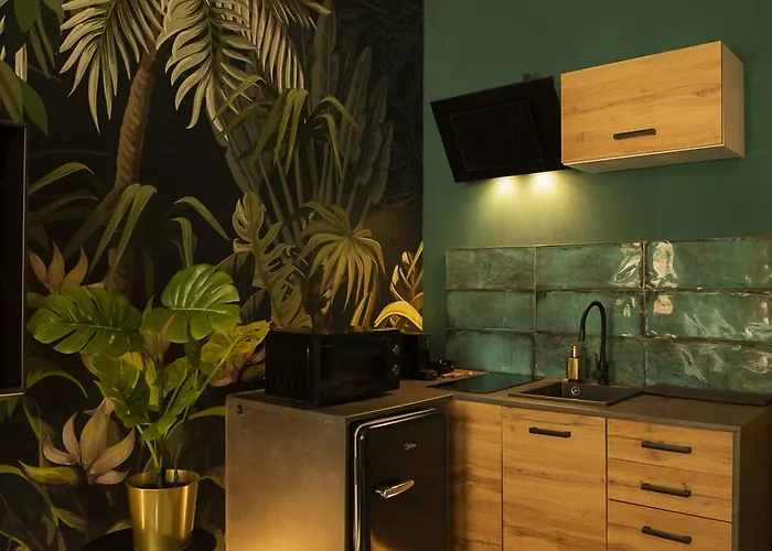 Jungle Daire Wroclaw